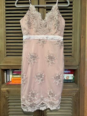 VENUS Blush Lace Embroidered Slip Dress